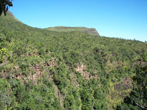 Ladera pendiente de la Serrania de Huanchaca